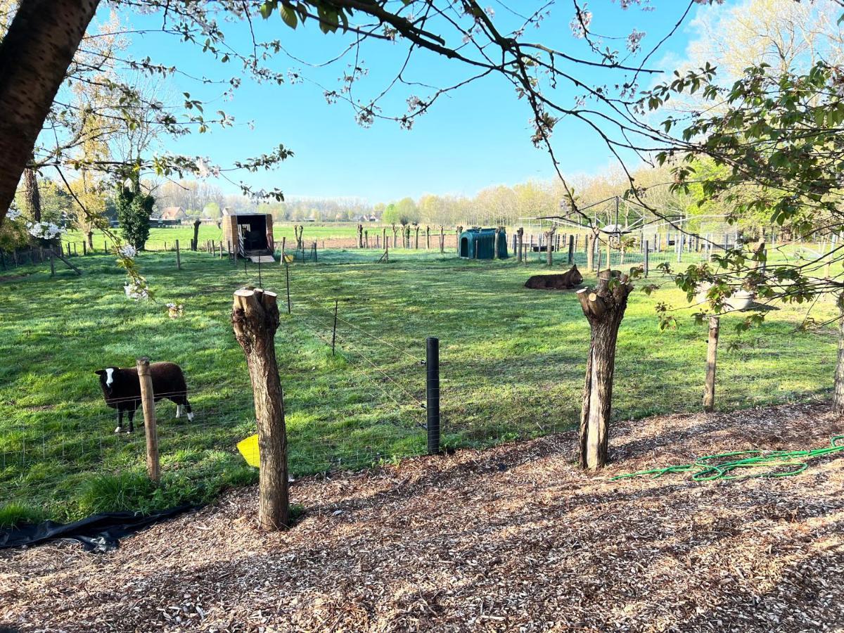 Hoeve Hooierzele Waasmunster ภายนอก รูปภาพ